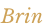 Brin