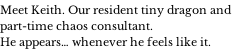 Meet Keith. Our resident tiny dragon and  part-time chaos consultant. He appears… whenever he feels like it.
